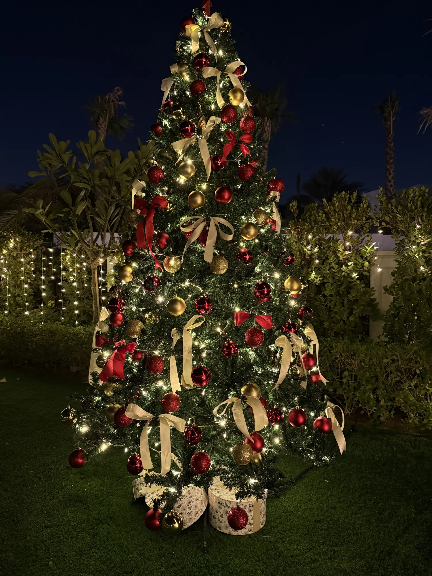 A tall tree in red and gold glowing in a villa garden at night